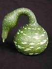 swan gourds  