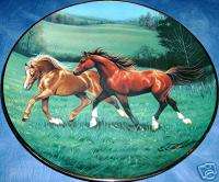 Franklin Wild and Free~The British Horse Society Plate  