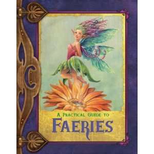  A Practical Guide to Faeries [Hardcover] Susan J. Morris Books