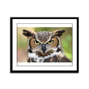  Framed Panel Print Great Horned Owl 