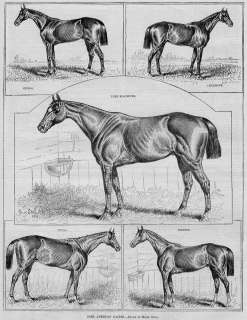 HORSES, AMERICAN RACE HORSES ANTIQUE HENRY STULL PRINT  