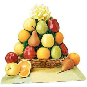 All Fruit Extravaganza Basket  Grocery & Gourmet Food