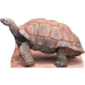 Tortoise Cardboard Stand Up