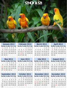 New toolbox magnet refrigerator magnet 2012 calendar Birds #7  