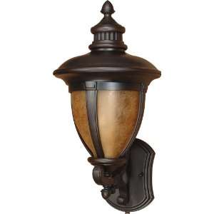  Galeon Arm Up Wall Lantern in Old Penny Bronze Size 22.75 