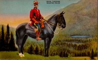 Postcard 920313 Canadian Mounted Police Horse RCMP  