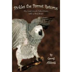 Pickles The Parrot Returns My Continued Adventures With A 