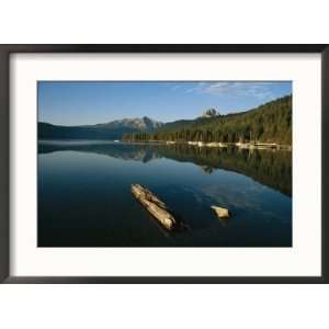  Calm water with submerged log on a mountain lake Framed 