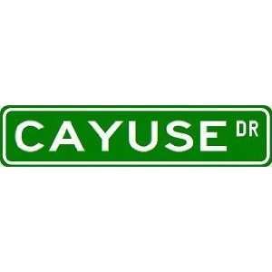 CAYUSE Street Sign ~ Custom Street Sign   Aluminum Sports 