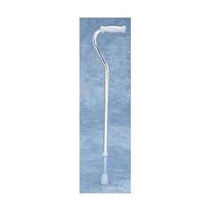  Uni Poise Cane Color   Bright Silver Health & Personal 