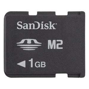  MS Micro (M2) 1GB Card, NO Adapter