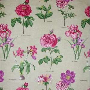  54 Wide Famous Maker Drapery Fabric Floral Tan/Raspbery 