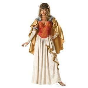 Viking Princess Small Costume Toys & Games