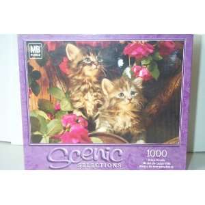   Selections 1000pc. Puzzle   Kittens Chatons Gatitos Toys & Games