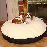 Give your pet the best with the original Snoozer Round Pillow pet Bed 