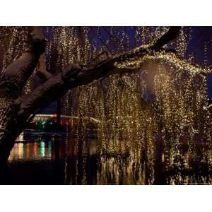  Christmas at Tivoli Where Holiday Lights Brighten the Long 