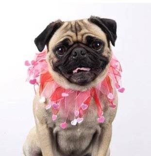 Medium Valentines Day Scrunchie Dog Collar