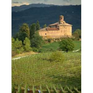 Fortified Wine Cantina, Tenuta La Volta, Near Barolo, Piemonte, Italy 