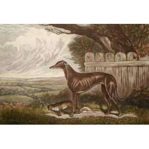 Miss Glendyne Etching Wombill, Sidney R Hunt, E HR Animals, Dogs Birds 