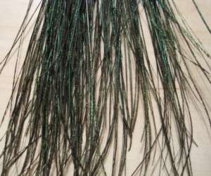 150+ IRIDESCENT HAIR FEATHER EXTENSIONS PEACOCK X LONG  