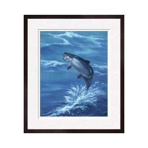 Coho Or Silver Salmon Fish Leaps From The Water Framed Giclee Print 
