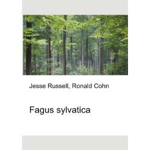  Fagus sylvatica Ronald Cohn Jesse Russell Books