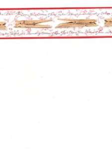 Wallpaper Border Laundry Room Clothespins Red  