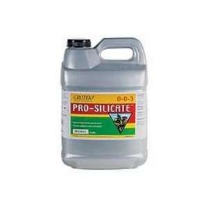  Pro Silicate, 10 L