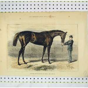  1882 View Shotover Horse Winner Derby Antique Print