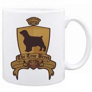  New  Welsh Springer Spaniel   The True Breed  Mug Dog 