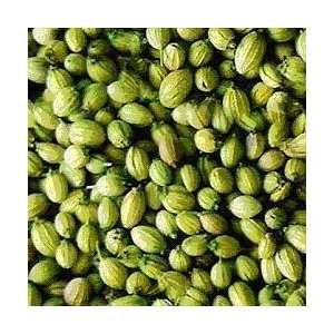 Green Coriander Seed in a 1 Pound Grocery & Gourmet Food