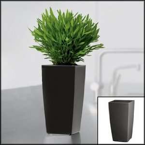  Mini Cubi Planter   4x4x7   Charcoal *Clearance*