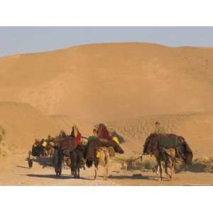 Kuchie Nomad Camel Train, Between Chakhcharan and Jam 