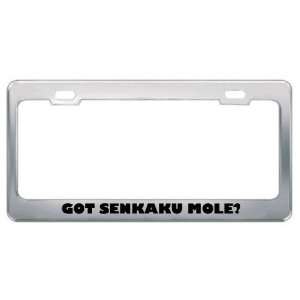 Got Senkaku Mole? Animals Pets Metal License Plate Frame Holder Border 