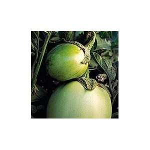   Italian White Eggplant 50 Seeds/Seed   Heirloom Patio, Lawn & Garden