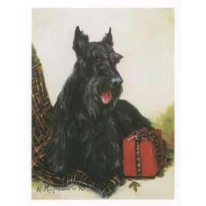  Scottie with Christmas Gift Notecards Health & Personal 