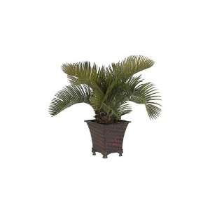  Potted Cycas Plam Silk Plant