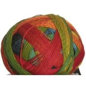  Schoppel Wolle Yarn   Zauberball Yarn   1564 Frische 