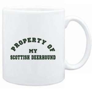   White  PROPERTY OF MY Scottish Deerhound  Dogs