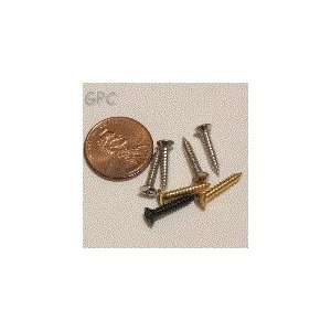  2.5X15mm LP Pickup Surround screws   10pk Musical 