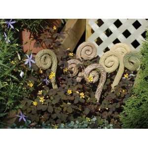   Stoneware Ltd. Weatherproof Fiddleheads Garden Decoration, Handcrafted