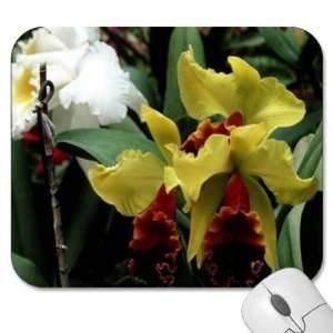   75 Designer Mouse Pads   Flowers/Floral (MPFL 324)