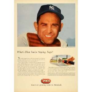  1954 Ad Yogi Berra Spalding Spencer Chemicals Yankees 