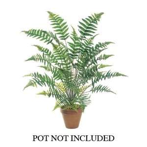  36 Forest Fern Bush x37 w/321 Lvs. Two Tone Green (Pack of 