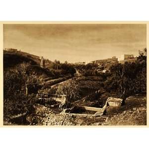  1924 Safi Morocco Moroccan Garden Farm Photogravure 