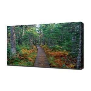  Country Road 18   Canvas Art   Framed Size 16x24   Ready 