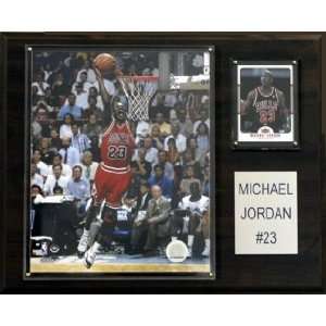  Chicago Bulls Michael Jordan 12x15 Player Plaque Sports 