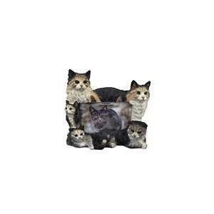  Maine Coon Cats Frame