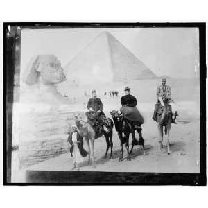   camels in front of the Sphinx,pyramid of Jizah,Egypt