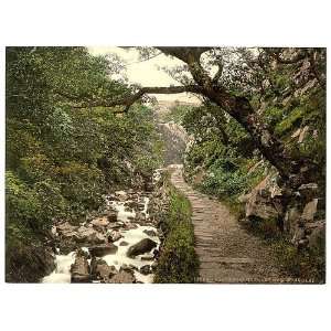    Cennant Mawr,the Glen,Llanberis,Wales,c1895